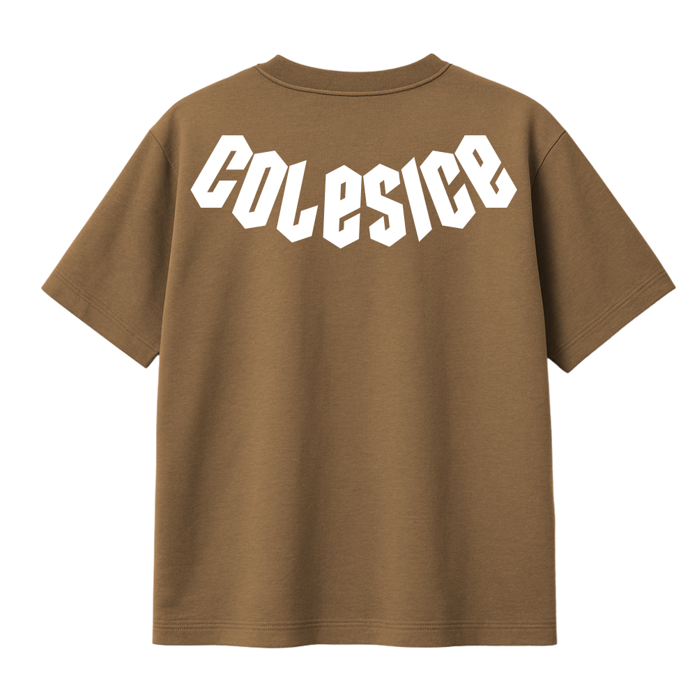 NEW - COLESICE T-SHIRT BROWN