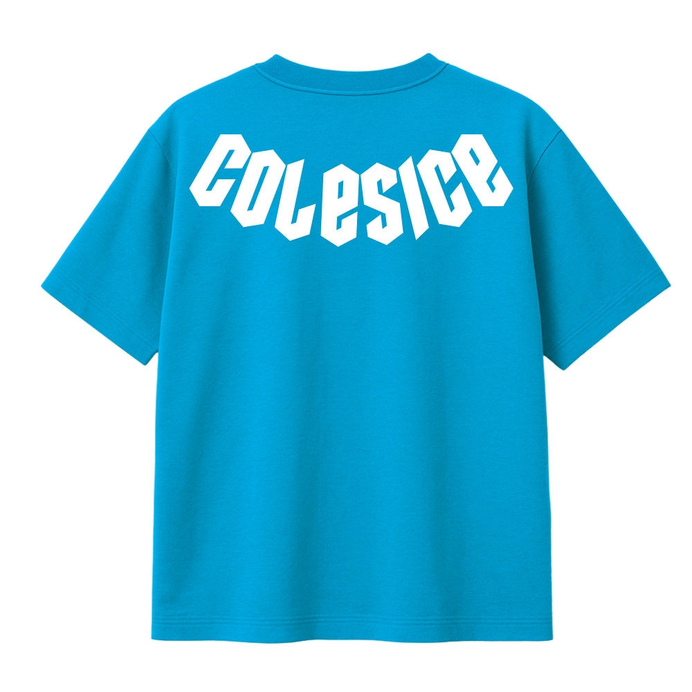 NEW - COLESICE T-SHIRT BABY BLUE