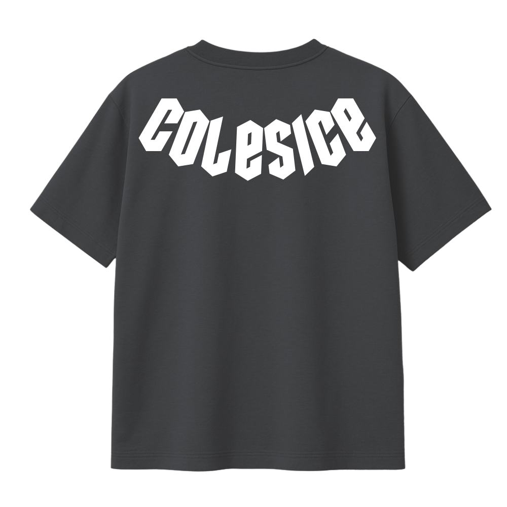 NEW - COLESICE T-SHIRT DARK GREY