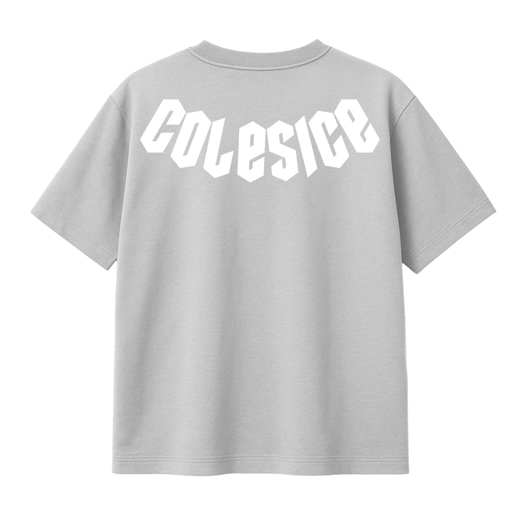 NEW - COLESICE T-SHIRT GREY